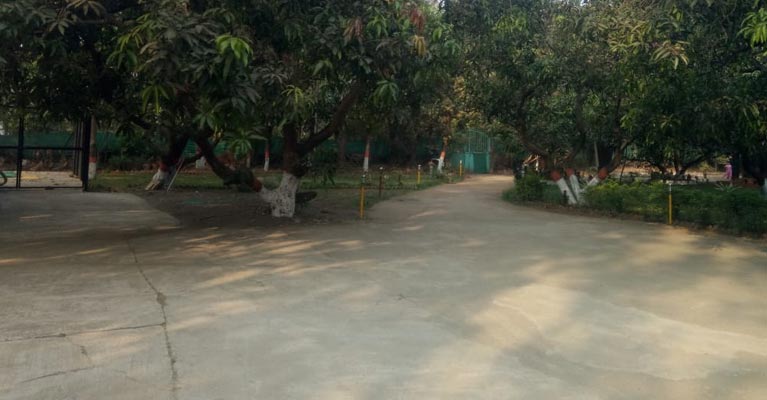 Dmello Farm Bhalivali Virar,picnic spots near mumba