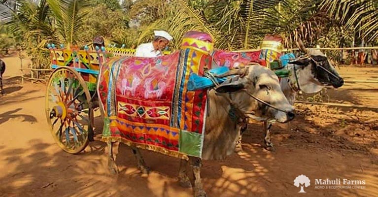 agro tourism in tamilnadu